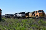 Galveston deadline